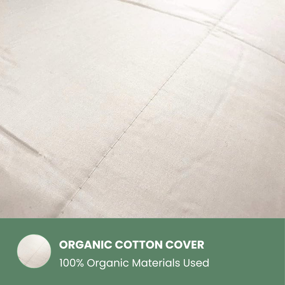 wool comforter wool room holy lamb