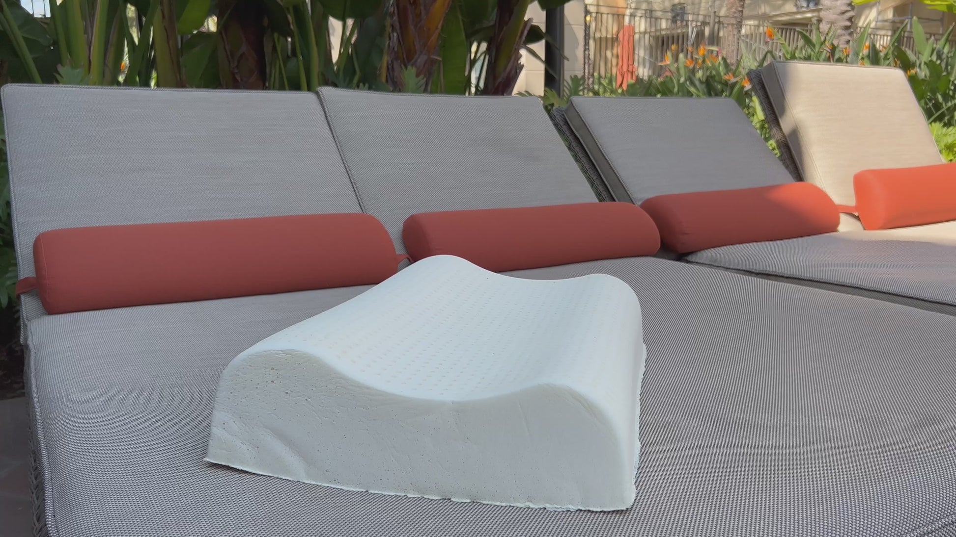 GOLS Certified Organic Latex Contour Pillow