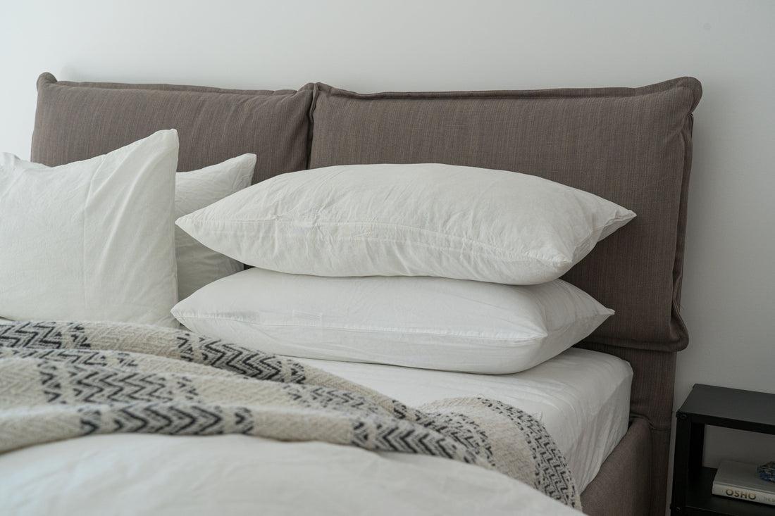 The Benefits of Organic Cotton Pillows: Your Path to Comfort and