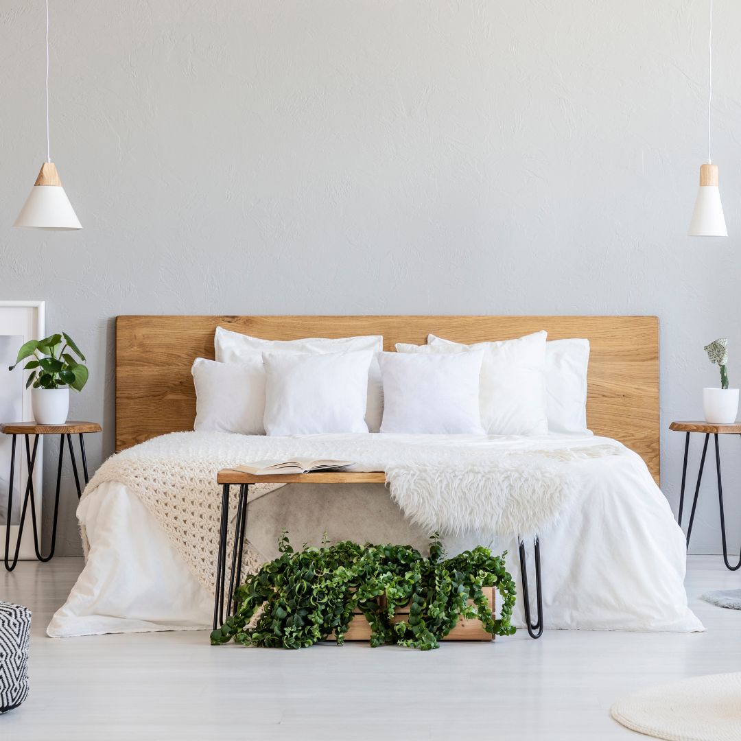 Explore Our Premium 100% Organic & All Natural Collection