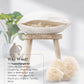 Australian Wool Filled Bed Pillow with GOTS Certified Cotton Cover for Side, Back or Stomach Sleeper - Organic Textiles