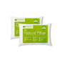 100% Natural Talalay Latex Bed Pillow with GOTS Certified Cotton Cover