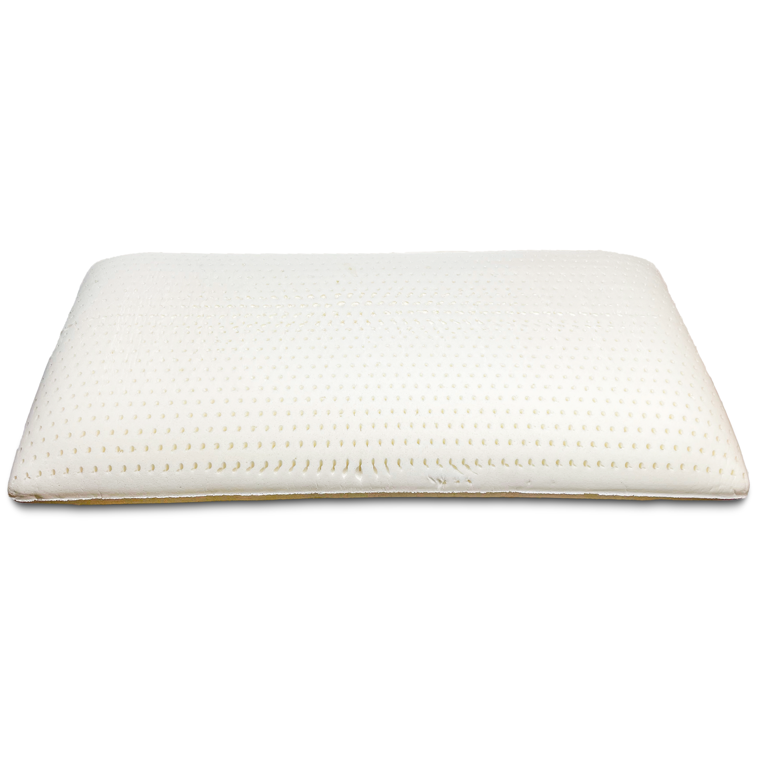 DS 100% Natural Talalay Pillow with Zippered Organic Cotton Cover - Organic Textiles