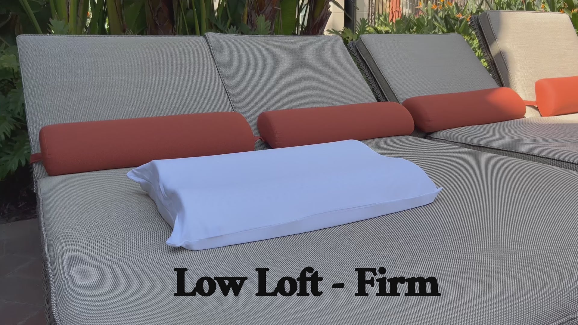 Latex Contour Pillow with Cotton Cover