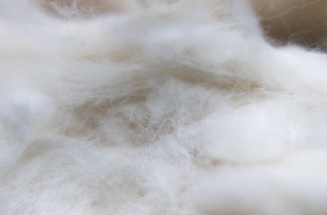 https://www.organictextiles.com/cdn/shop/products/cottonfill_1445x.jpg?v=1609798767